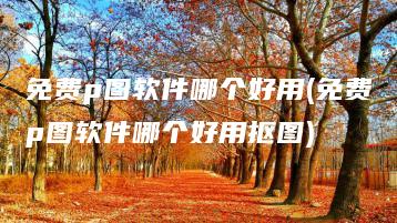 免费p图软件哪个好用(免费p图软件哪个好用抠图) | ae插件合集