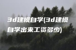 3d建模自学(3d建模自学出来工资多少) | ae插件合集