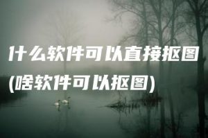 什么软件可以直接抠图(啥软件可以抠图) | ae插件合集