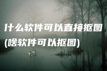 什么软件可以直接抠图(啥软件可以抠图) | ae插件合集