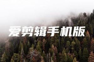 爱剪辑手机版 | ae插件合集