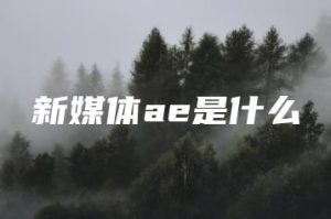 新媒体ae是什么 | ae插件合集