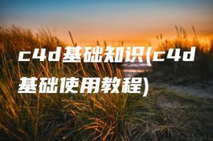 c4d基础知识(c4d基础使用教程) | ae插件合集