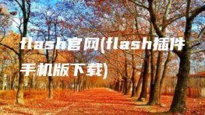 flash官网(flash插件手机版下载) | ae插件合集