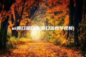 ui顺口溜口诀(顺口溜教学视频) | ae插件合集