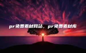 pr免费素材网站，pr免费素材库 | ae插件合集