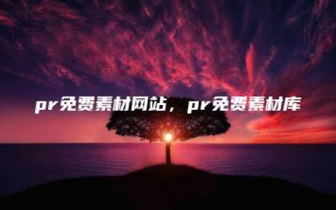 pr全称英文叫什么(pr全称英文叫什么名字) | ae插件合集