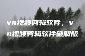 vn视频剪辑软件，vn视频剪辑软件破解版 | ae插件合集