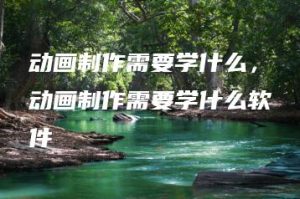 动画制作需要学什么，动画制作需要学什么软件 | ae插件合集