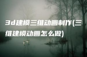 3d建模三维动画制作(三维建模动画怎么做) | ae插件合集