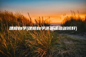 建模自学(建模自学还是进培训班好) | ae插件合集