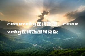 removebg在线抠图，removebg在线抠图网页版 | ae插件合集