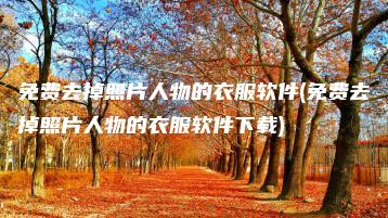 免费去掉照片人物的衣服软件(免费去掉照片人物的衣服软件下载) | ae插件合集