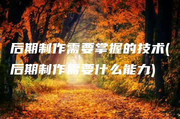 后期制作需要掌握的技术(后期制作需要什么能力) | ae插件合集