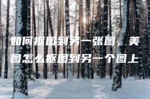 如何抠图到另一张图，美图怎么抠图到另一个图上 | ae插件合集