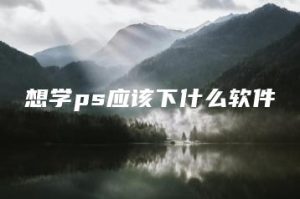 想学ps应该下什么软件 | ae插件合集