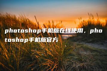photoshop手机版在线使用，photoshop手机版官方 | ae插件合集