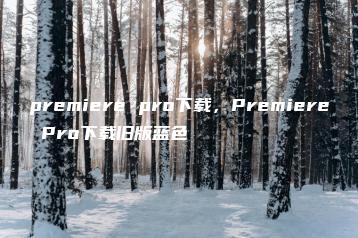 premiere pro下载，Premiere Pro下载旧版蓝色 | ae插件合集