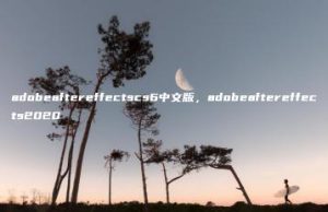 adobeaftereffectscs6中文版，adobeaftereffects2020 | ae插件合集