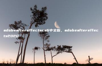 adobeaftereffectscs6中文版，adobeaftereffects2020 | ae插件合集