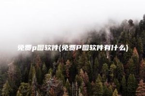 免费p图软件(免费P图软件有什么) | ae插件合集
