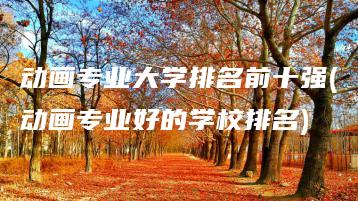 动画专业大学排名前十强(动画专业好的学校排名) | ae插件合集