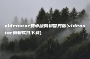 videostar安卓版剪辑官方版(videostar剪辑软件下载) | ae插件合集