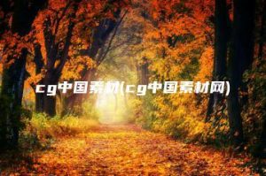 cg中国素材(cg中国素材网) | ae插件合集