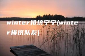 winter排挤宁宁(winter排挤队友) | ae插件合集