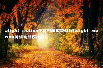 alight motion中文剪辑视频教程(alight motion剪辑软件汉化版) | ae插件合集