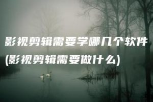 影视剪辑需要学哪几个软件(影视剪辑需要做什么) | ae插件合集