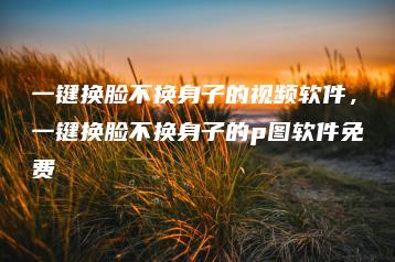 一键换脸不换身子的视频软件，一键换脸不换身子的p图软件免费 | ae插件合集