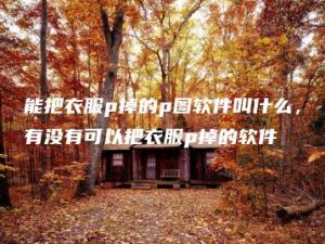 能把衣服p掉的p图软件叫什么，有没有可以把衣服p掉的软件 | ae插件合集