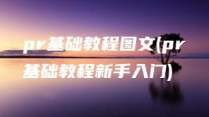 pr基础教程图文(pr基础教程新手入门) | ae插件合集