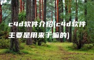 c4d软件介绍(c4d软件主要是用来干嘛的) | ae插件合集