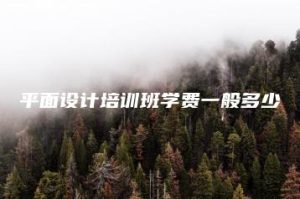 平面设计培训班学费一般多少 | ae插件合集