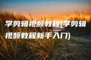 学剪辑视频教程(学剪辑视频教程新手入门) | ae插件合集