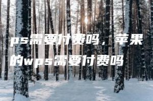 ps需要付费吗，苹果的wps需要付费吗 | ae插件合集