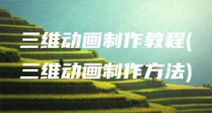 三维动画制作教程(三维动画制作方法) | ae插件合集