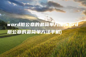 word抠公章的最简单方法(word抠公章的最简单方法手机) | ae插件合集