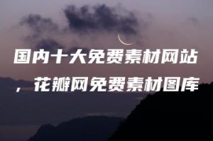 国内十大免费素材网站，花瓣网免费素材图库 | ae插件合集