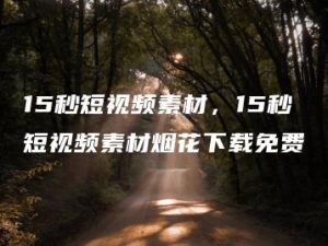 15秒短视频素材，15秒短视频素材烟花下载免费 | ae插件合集