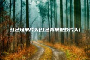 红色场景片头(红色背景视频片头) | ae插件合集