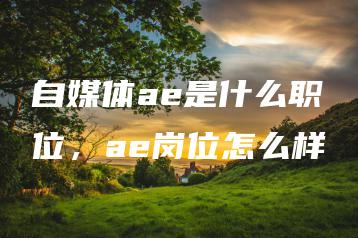 自媒体ae是什么职位，ae岗位怎么样 | ae插件合集