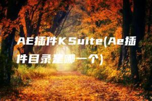 AE插件KSuite(Ae插件目录是哪一个) | ae插件合集