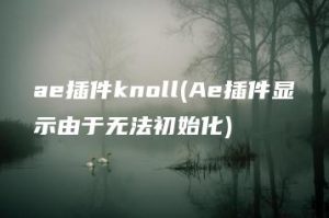 ae插件knoll(Ae插件显示由于无法初始化) | ae插件合集