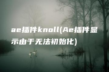 ae插件knoll(Ae插件显示由于无法初始化) | ae插件合集