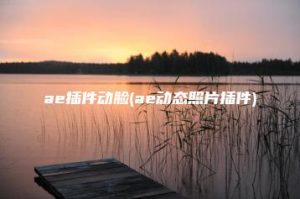 ae插件动脸(ae动态照片插件) | ae插件合集