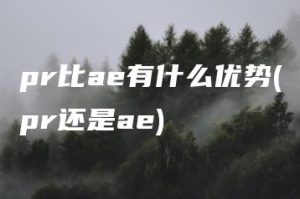 pr比ae有什么优势(pr还是ae) | ae插件合集