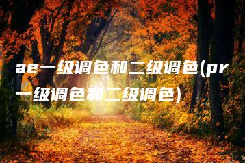 ae一级调色和二级调色(pr一级调色和二级调色) | ae插件合集